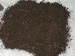 Şeker kamışı posası